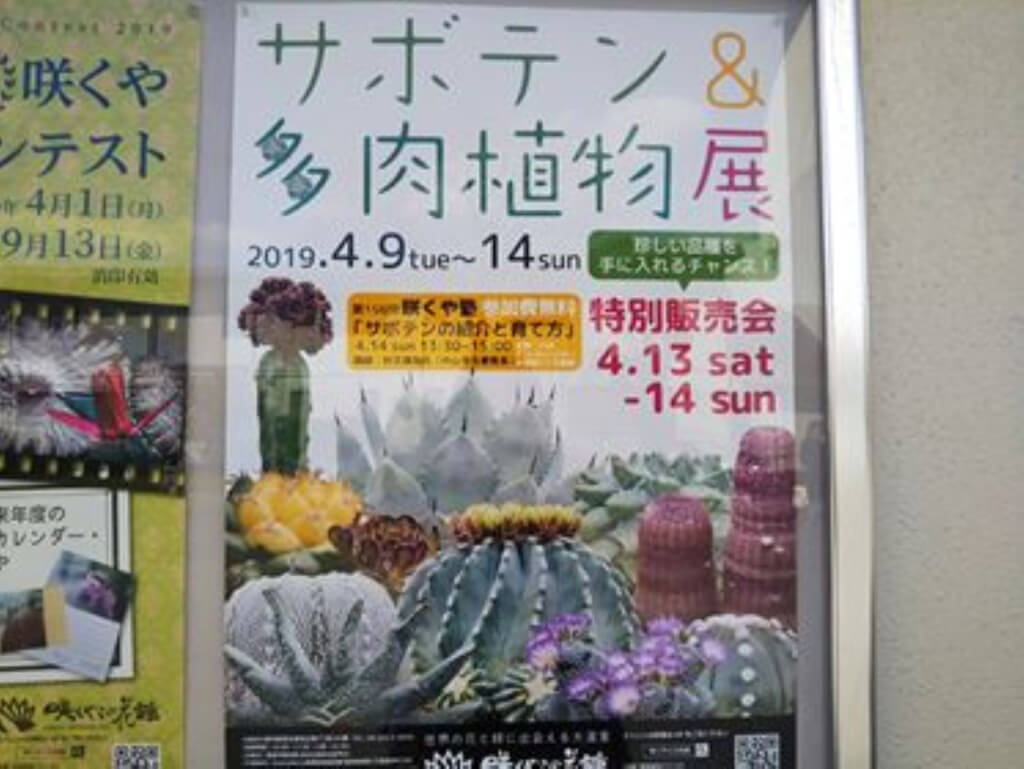 鶴見区 サボテン 多肉植物展開催中 13日 14日は日本各地の専門店による販売会もあるようです 号外net 鶴見 城東