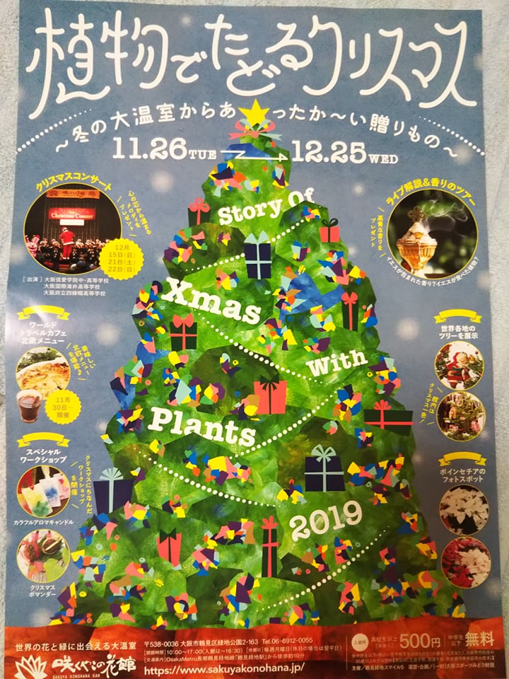 大阪市鶴見区 楽しみなクリスマスに向けて 植物でたどるクリスマス イベントが開催中です 号外net 鶴見 城東
