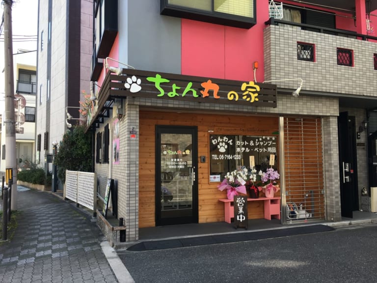 【大阪市鶴見区】諸口1丁目 トリミングサロン『ちょん丸の家』にドッグセレクトショップがオープンしていますよ