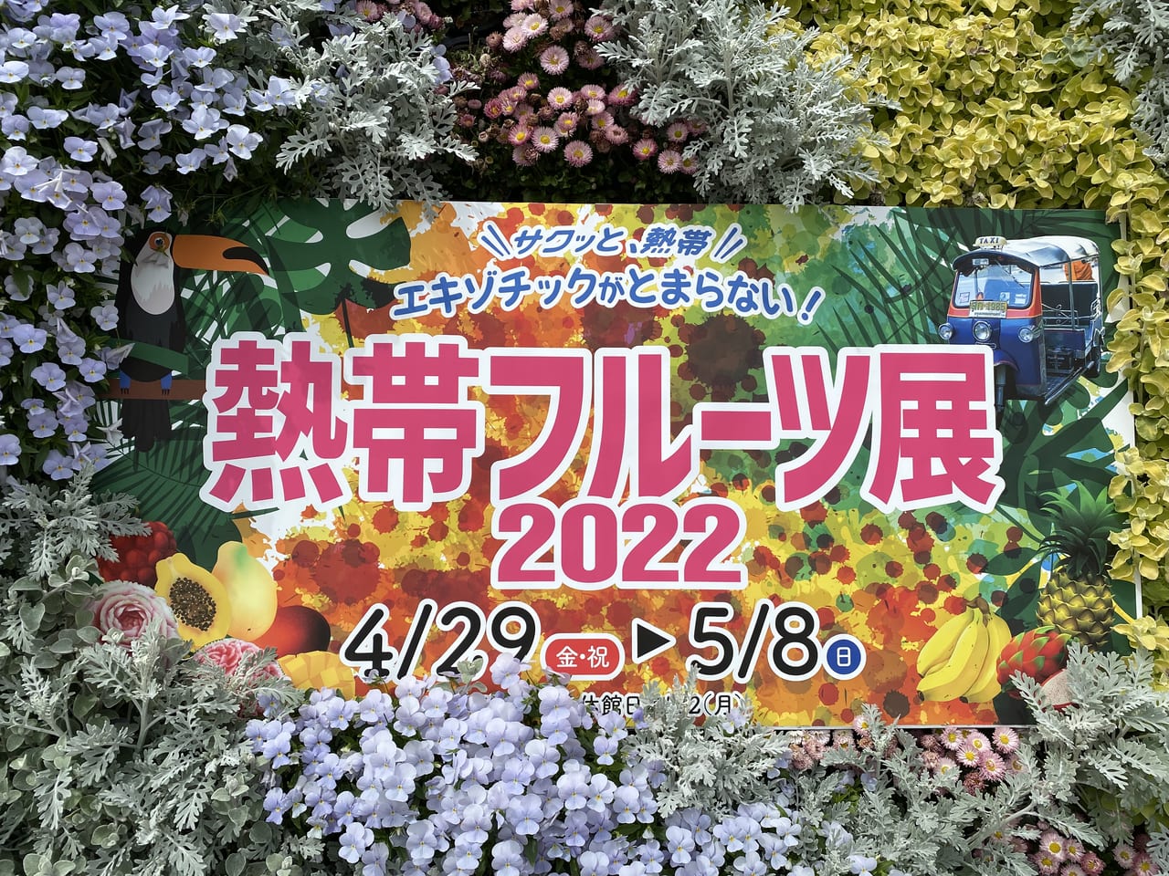 大阪市鶴見区 咲くやこの花館で 熱帯フルーツ展 が開催されます 号外net 鶴見 城東