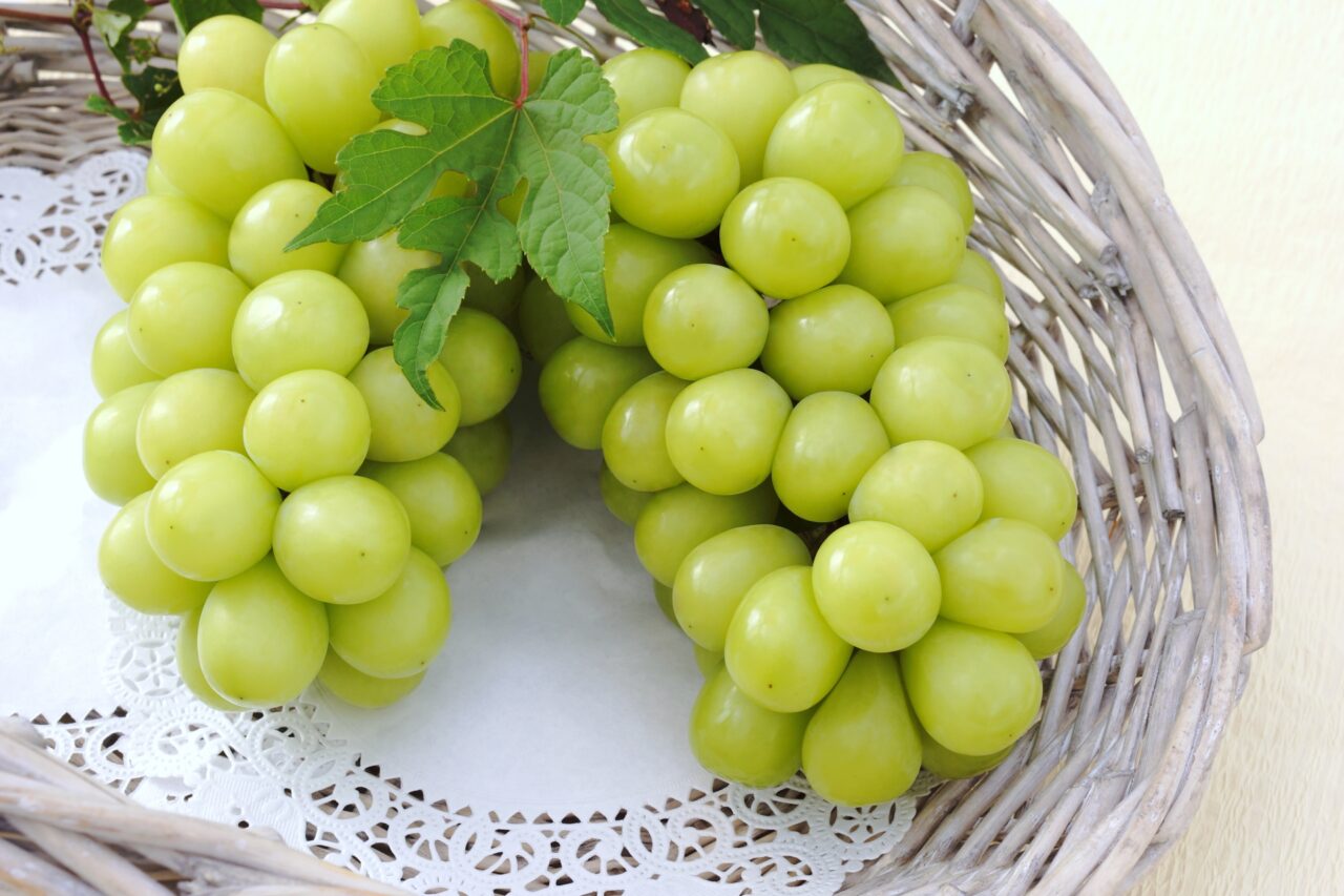 マスカットイマージ