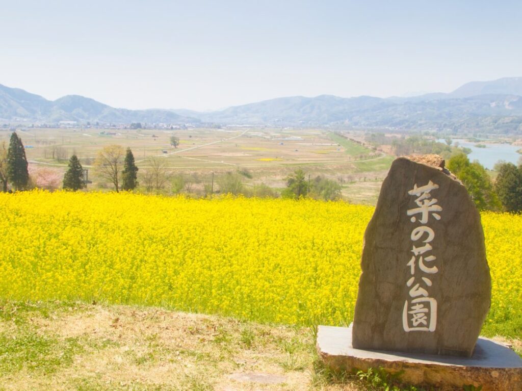 菜の花公園