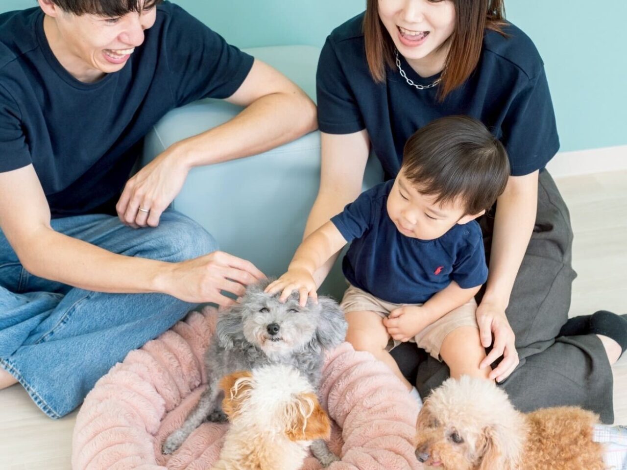 ふれあいの様子