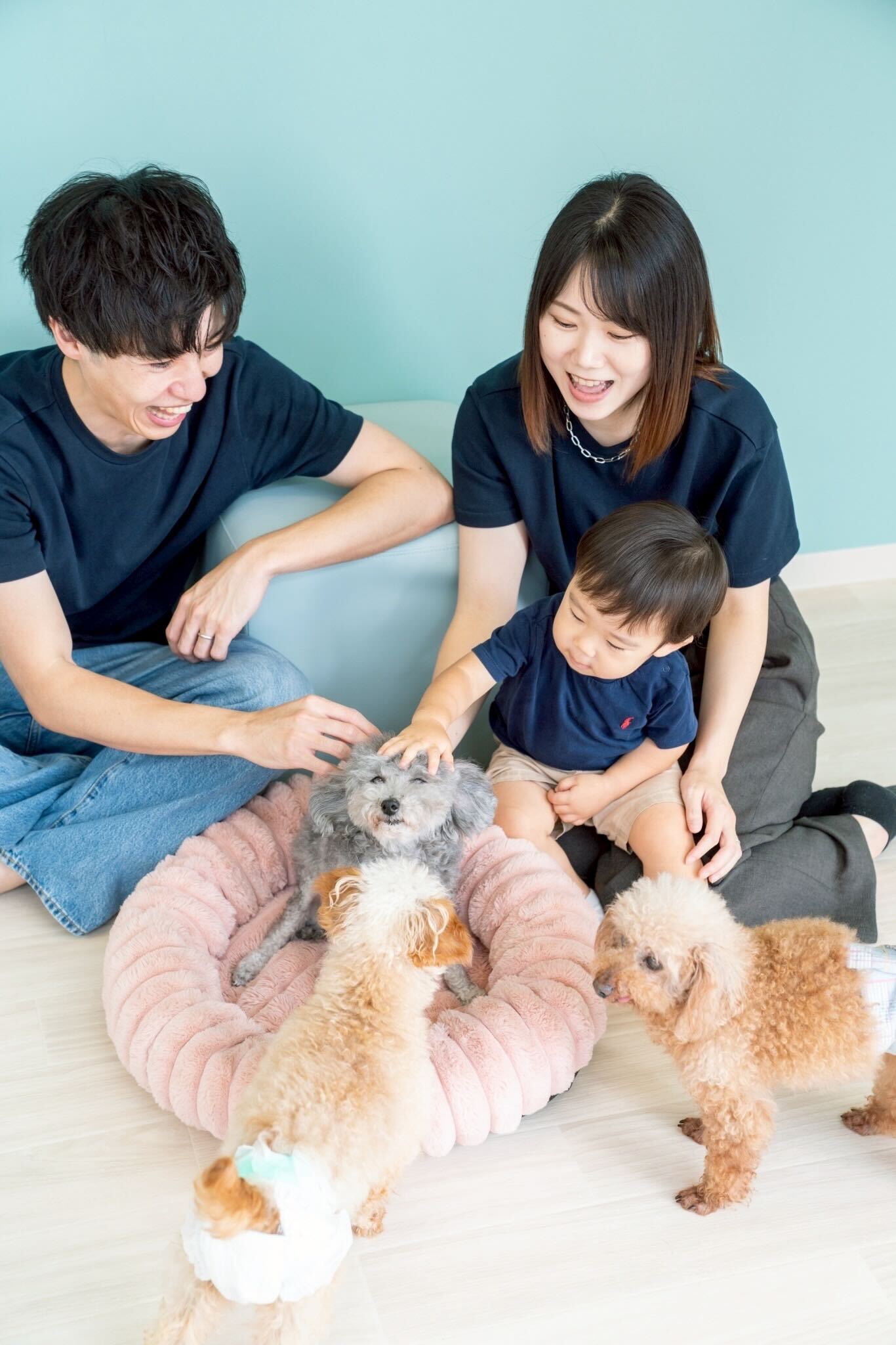 ふれあいの様子