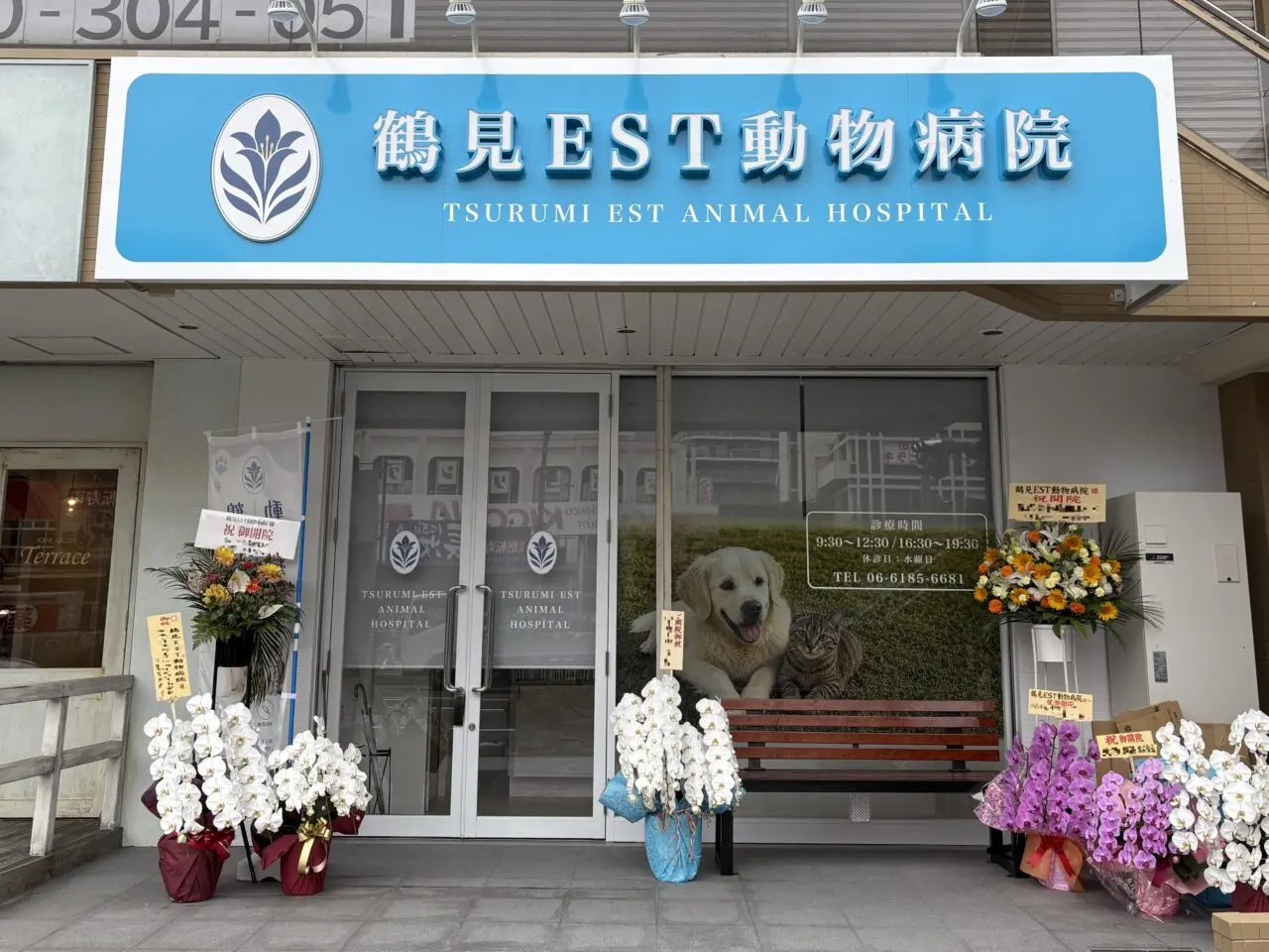 外観