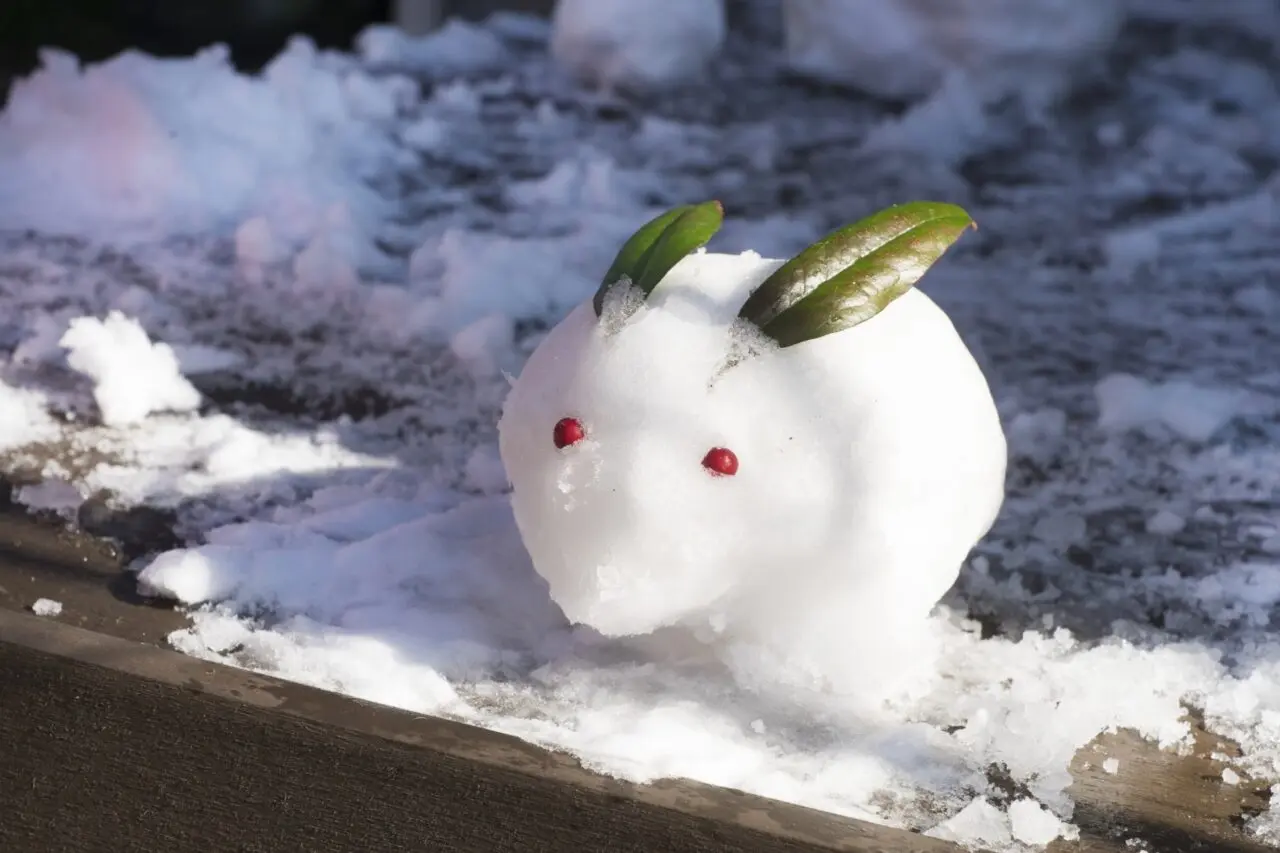 雪遊びイメージ